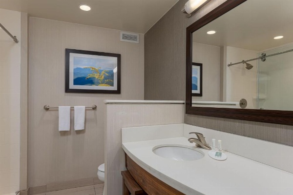 Courtyard by Marriott Asheville Airport image 10